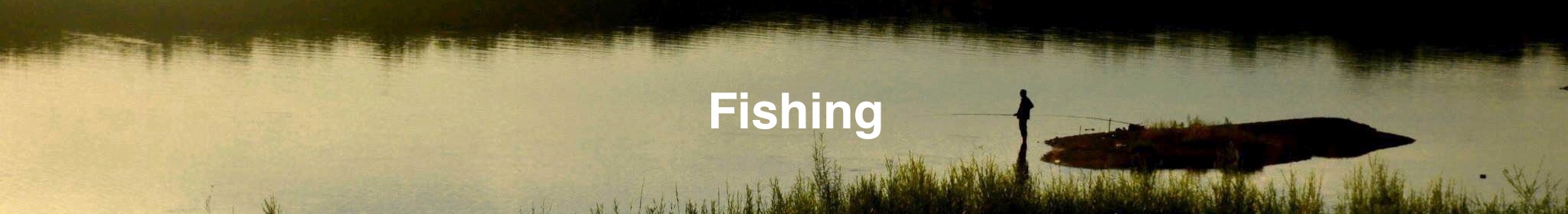 Fishing/Fry&Lure